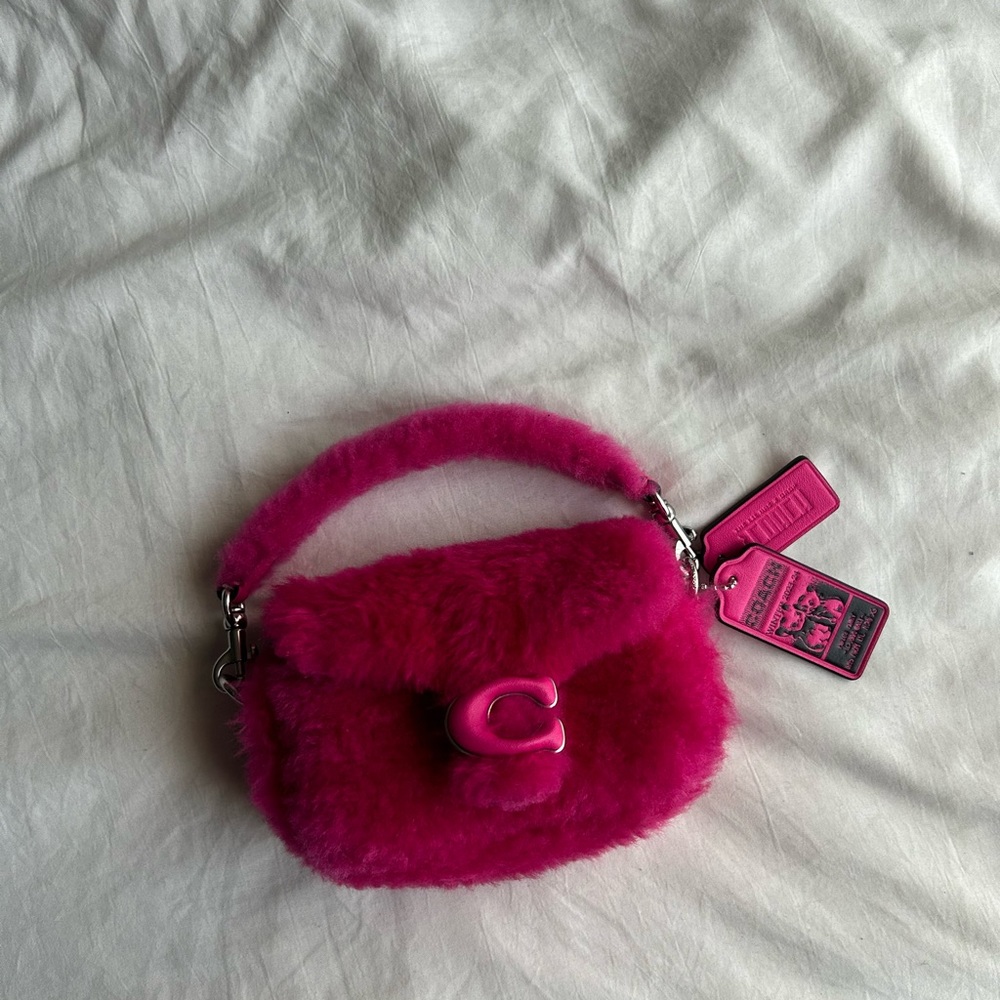 Mini Coach Bag